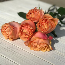 Long Stem Roses - Coral Peach & Chocolates